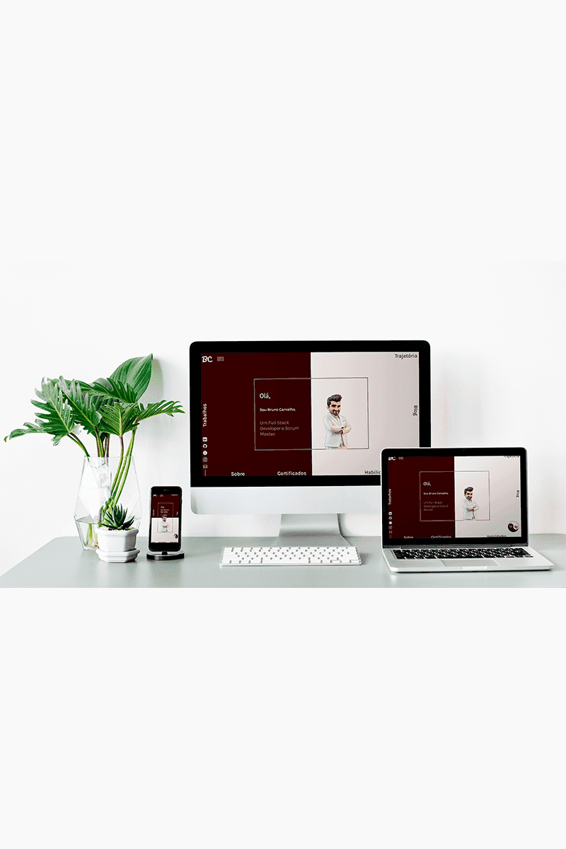 Desenvolvedor Web